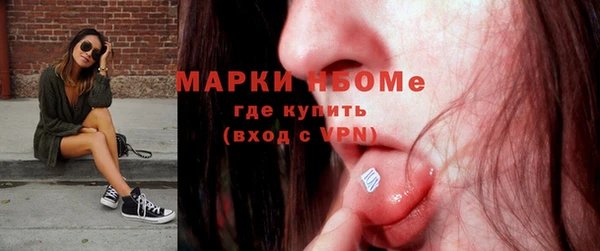 молекула духа Арсеньев