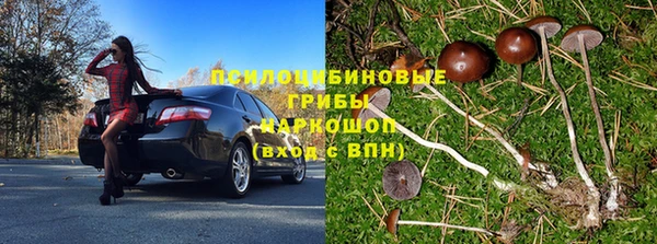молекула духа Арсеньев