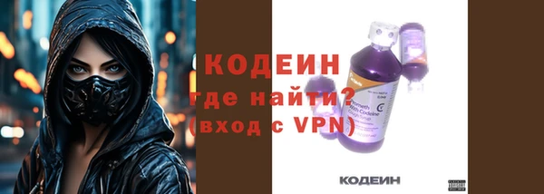 молекула духа Арсеньев