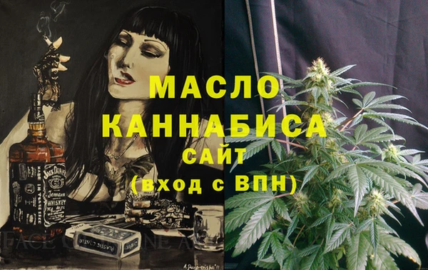 молекула духа Арсеньев