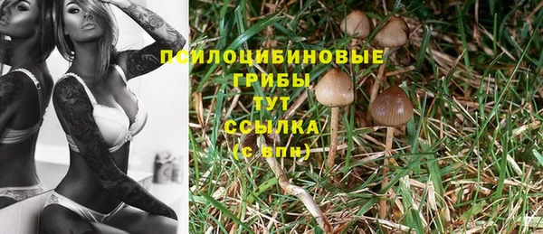 винт Аркадак