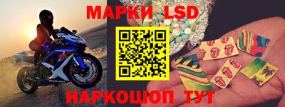 твердый Новодвинск