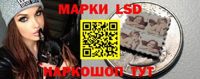 твердый Новодвинск