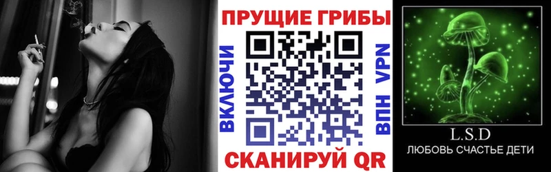 Галлюциногенные грибы мицелий  что такое наркотик  Соль-Илецк 
